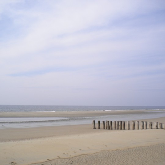 Altijd Zomer