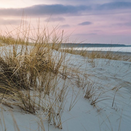 Het lied van het licht