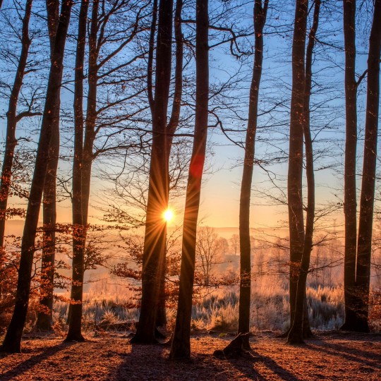 Het verschil van dag en nacht
